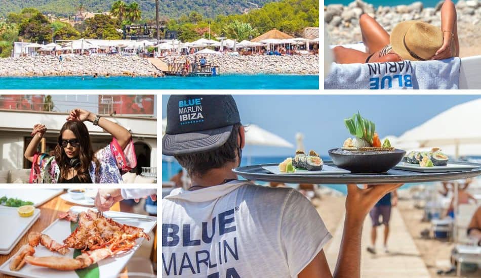 Blue Marlin